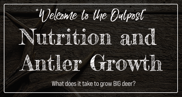 NUTRITION AND ANTLER GROWTH