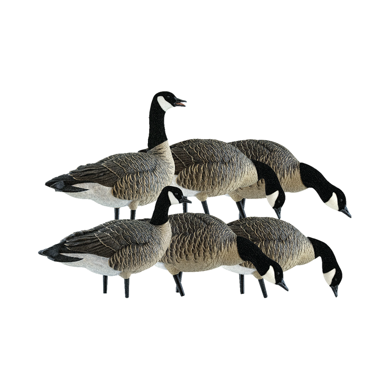 Avian-X AXP Lessers: Fusion Pack – Outdoors For Less