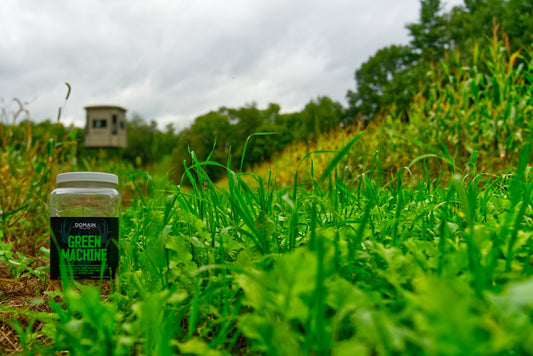Green Machine™ Food Plot Seed