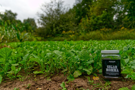 Sugar Momma™ Food Plot Seed
