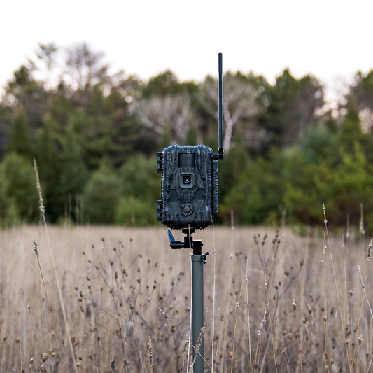 Stealth Cam Fusion™ Max 2.0 Cellular Trail Camera