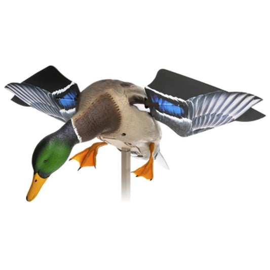 Avian-X Powerflight Mallard spinning wing decoy side view with wings spread on stake