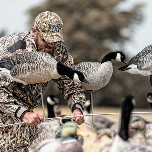 Avian-X X-Stand for Decoys in use by camo-clad hunter setting up Canada goose decoys in the field