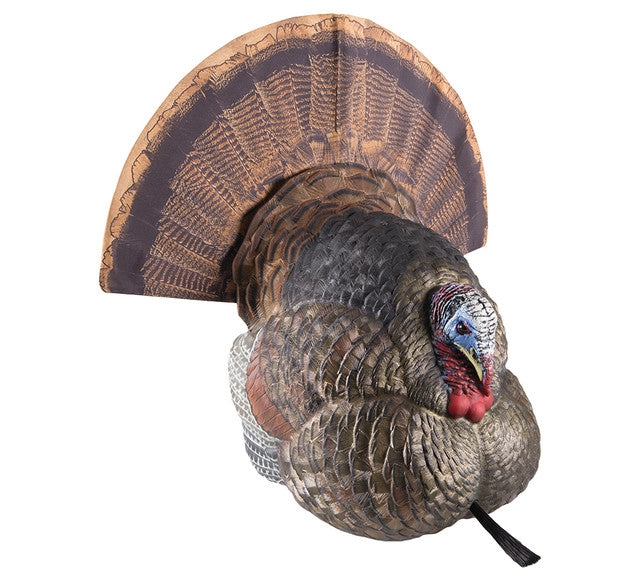 Avian-X LCD Strutter Turkey Decoy – Outdoors For Less