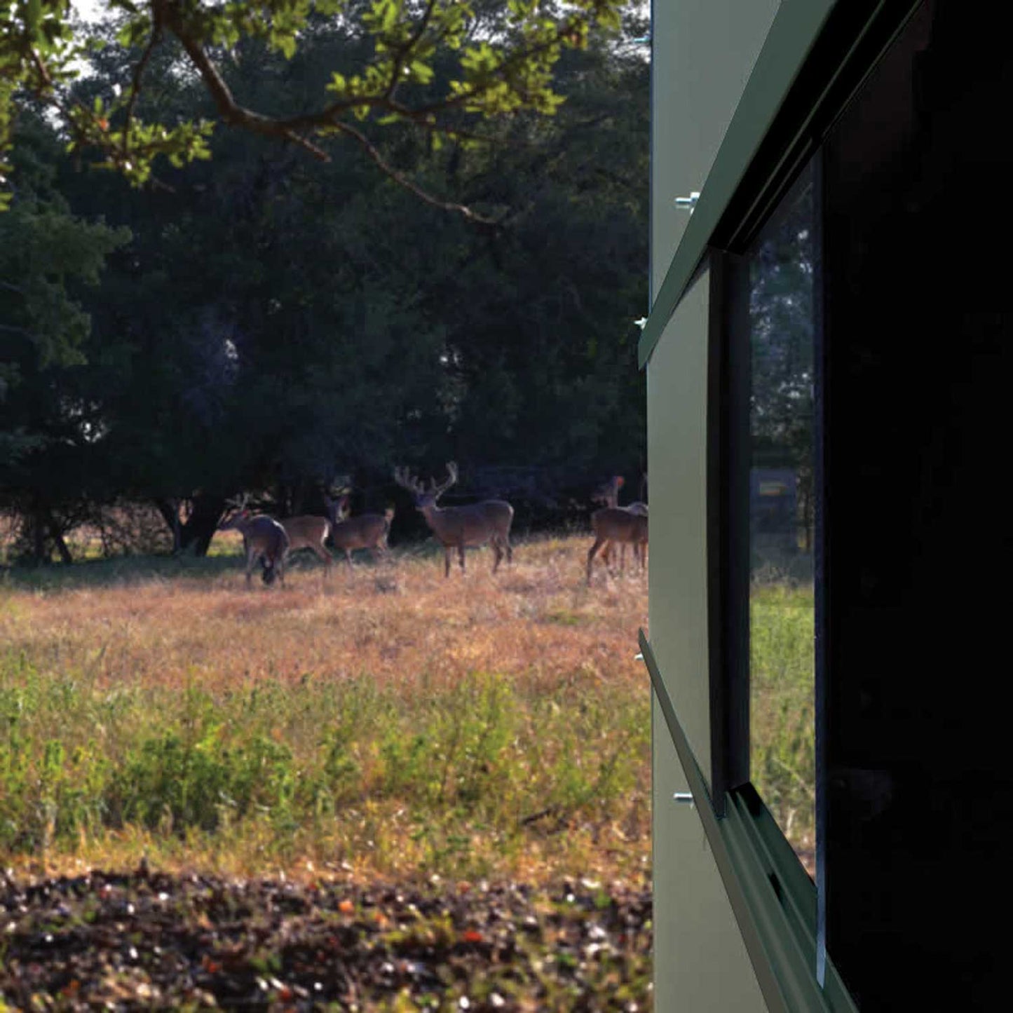 DBG: Texas Hunter Trophy Ground Blind Single 4' x 4' with Ground Legs