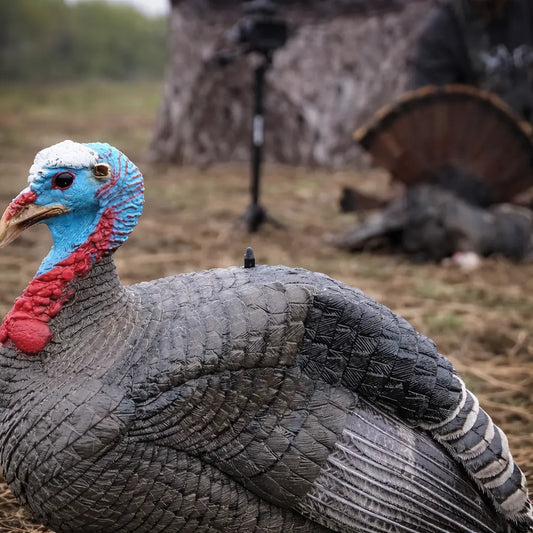 Realistic jake turkey decoy from Hunters Specialties combo pack