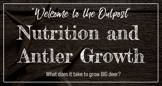 NUTRITION AND ANTLER GROWTH
