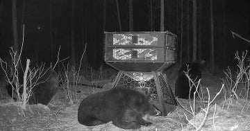 Orion Hunting - 750 Pound Capacity Stand and Fill Deer Feeder