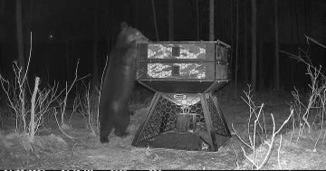 Orion Hunting - 750 Pound Capacity Stand and Fill Deer Feeder