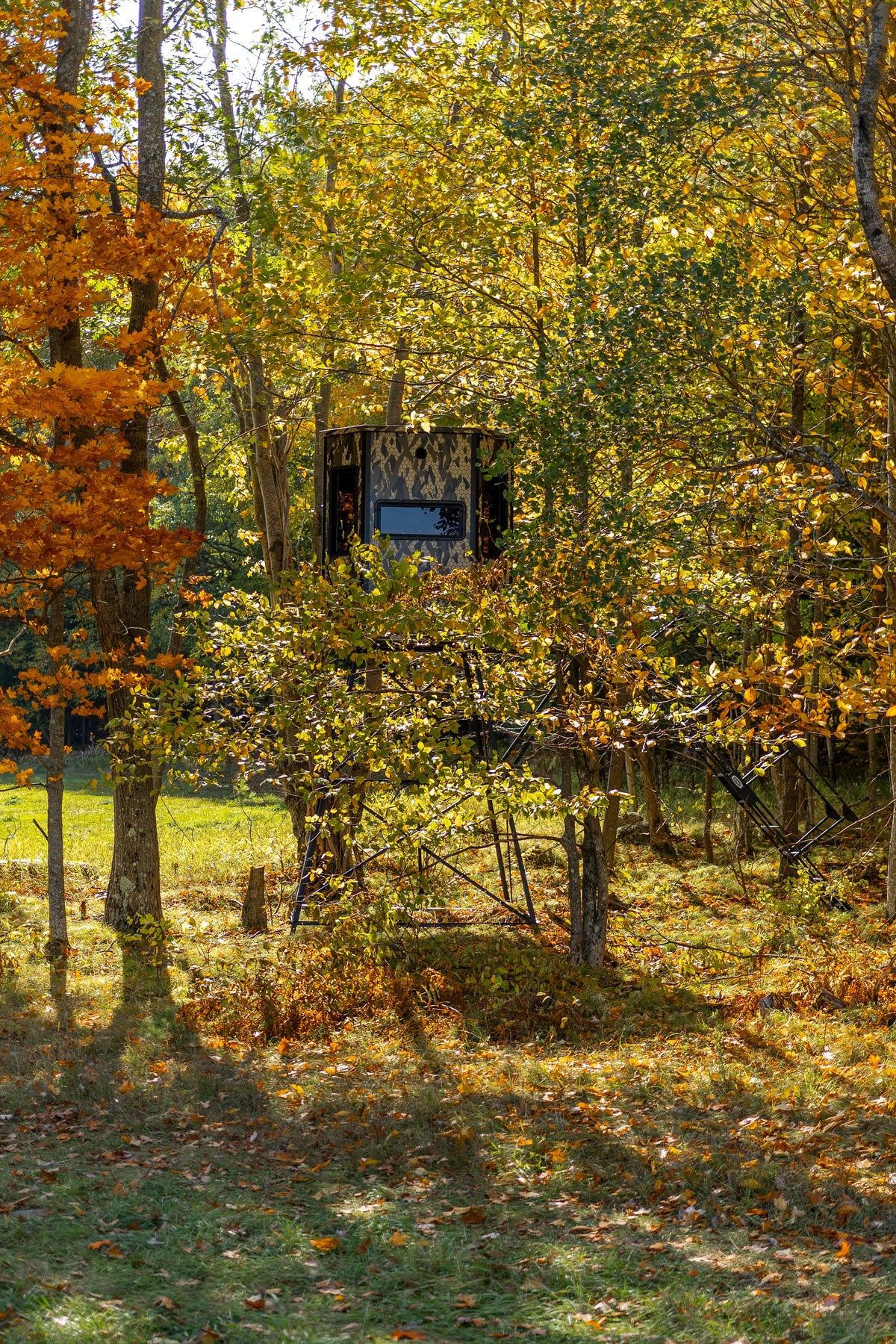 Orion 68T - Modular Deer Hunting Blind with Tinted Windows