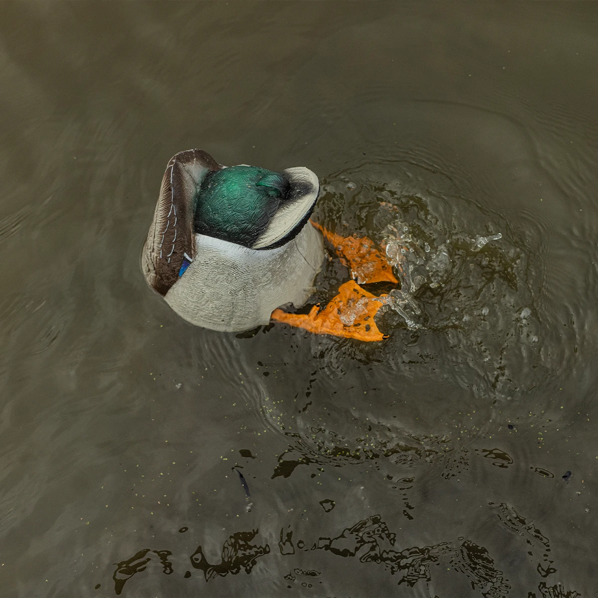 Avian-X Power Butt Kicker - Mallard Drake