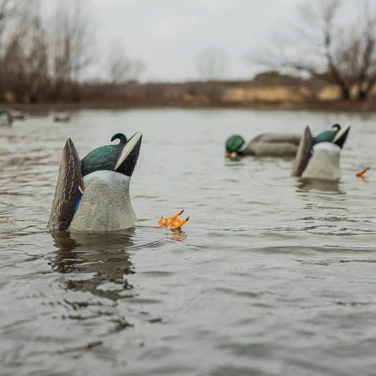 Avian-X Power Butt Kicker - Mallard Drake