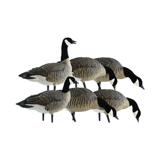Avian X AXP Lessers: Fusion Pack