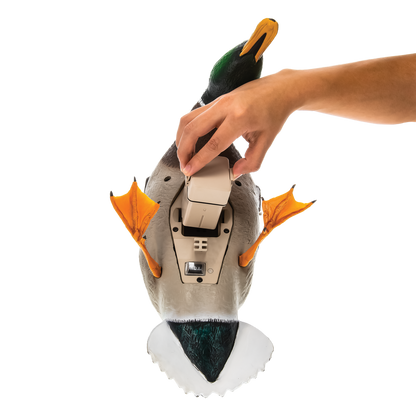 Avian X Powerflight Mallard - Spinning Wing Duck