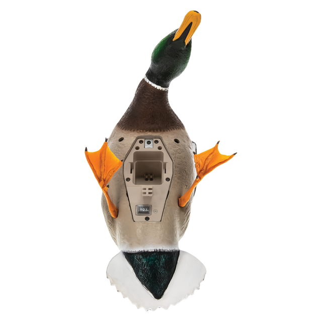 Avian X Powerflight Mallard - Spinning Wing Duck