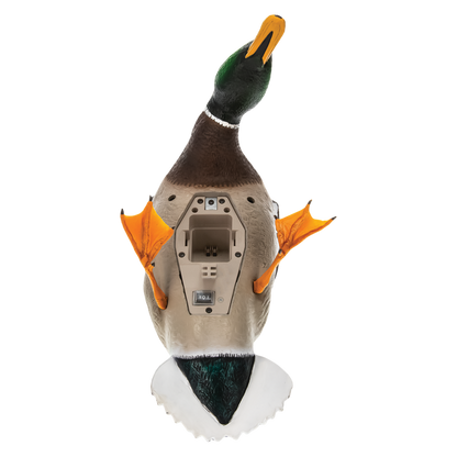 Avian X Powerflight Mallard - Spinning Wing Duck