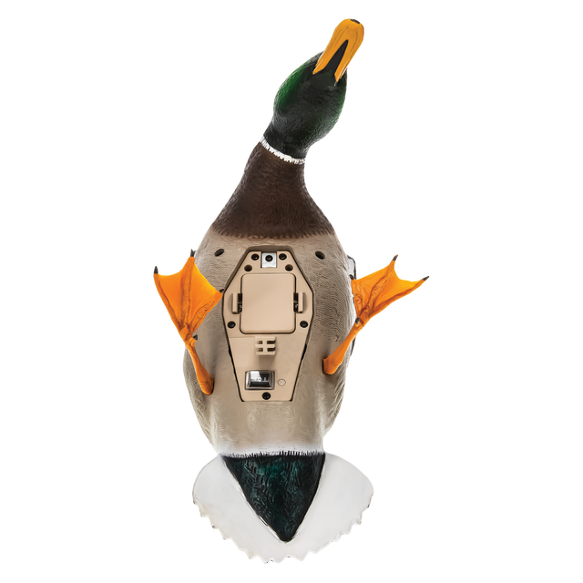 Avian X Powerflight Mallard - Spinning Wing Duck