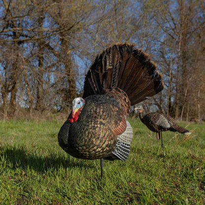 Avian X LCD Strutter Turkey Decoy