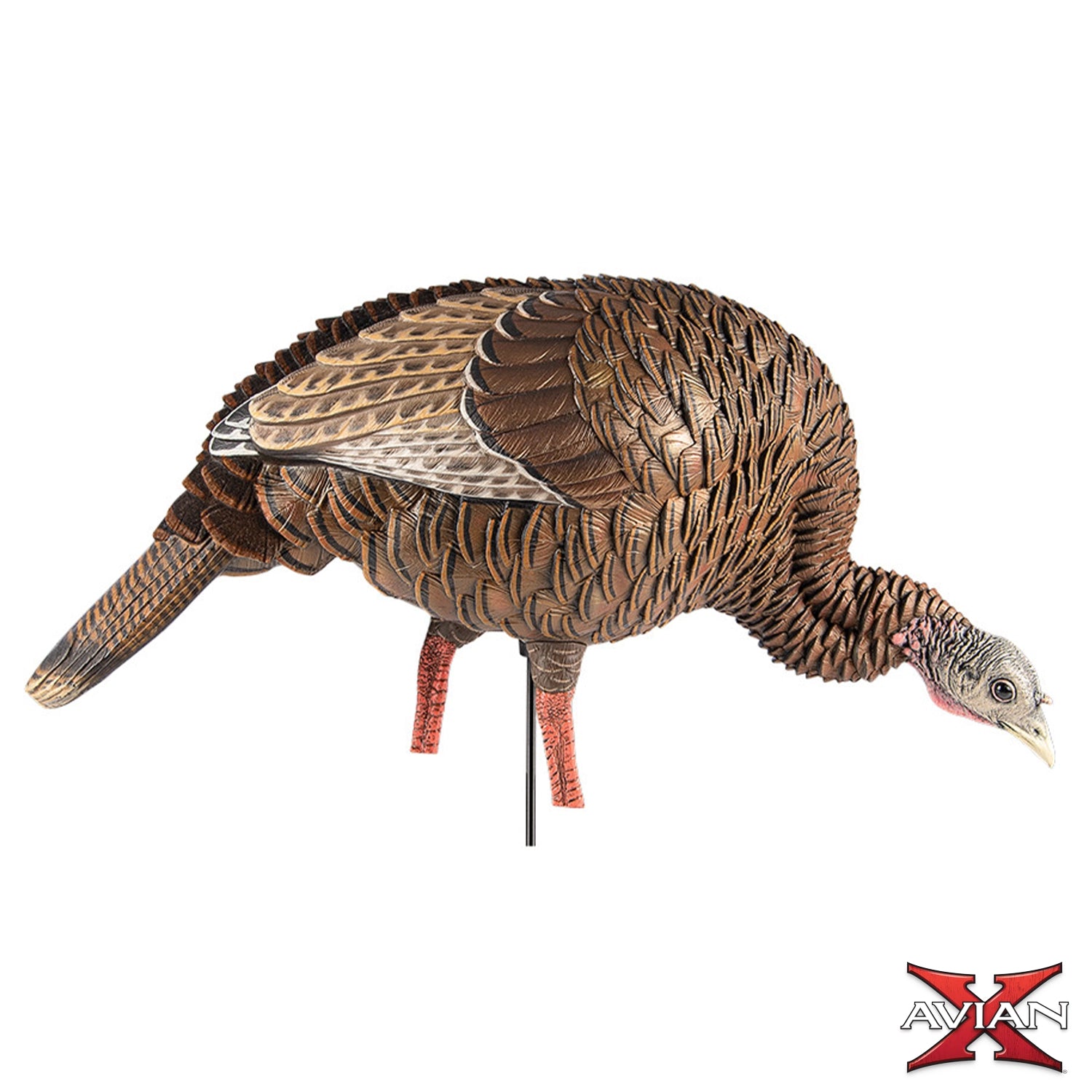 Avian-X HDR Feeding Hen turkey decoy angled product view on white background showing feeding posture and paint detail