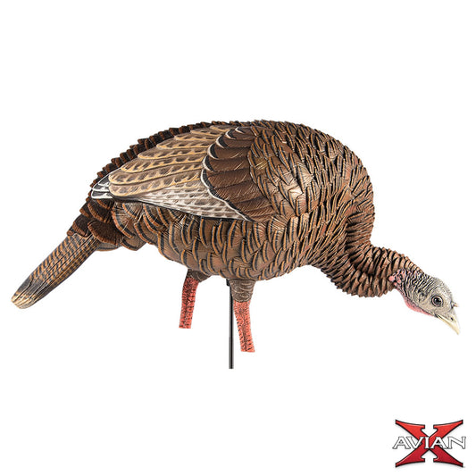 Avian-X HDR Feeding Hen turkey decoy angled product view on white background showing feeding posture and paint detail