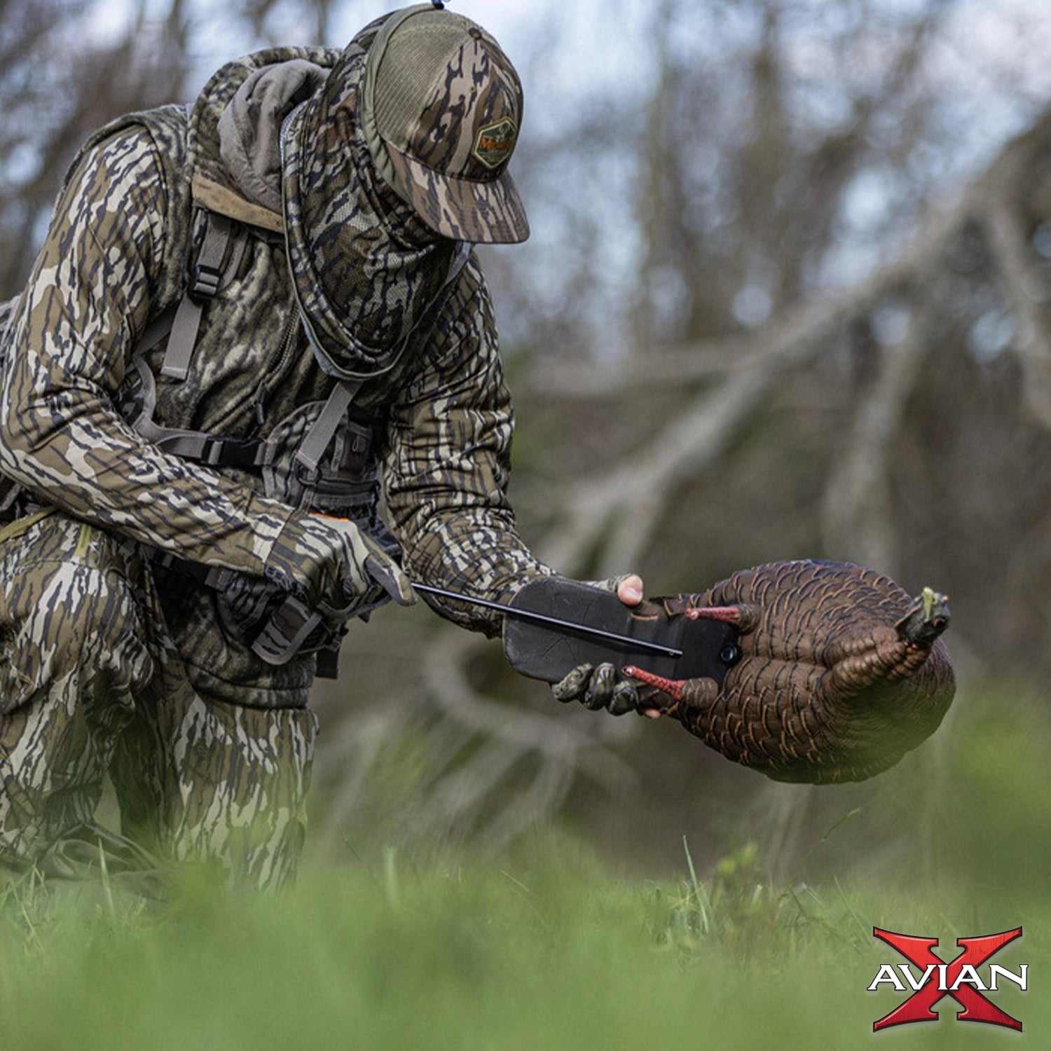 Avian-X HDR Feeding Hen turkey decoy in grass with hunter adjusting position, lifelike hen decoy