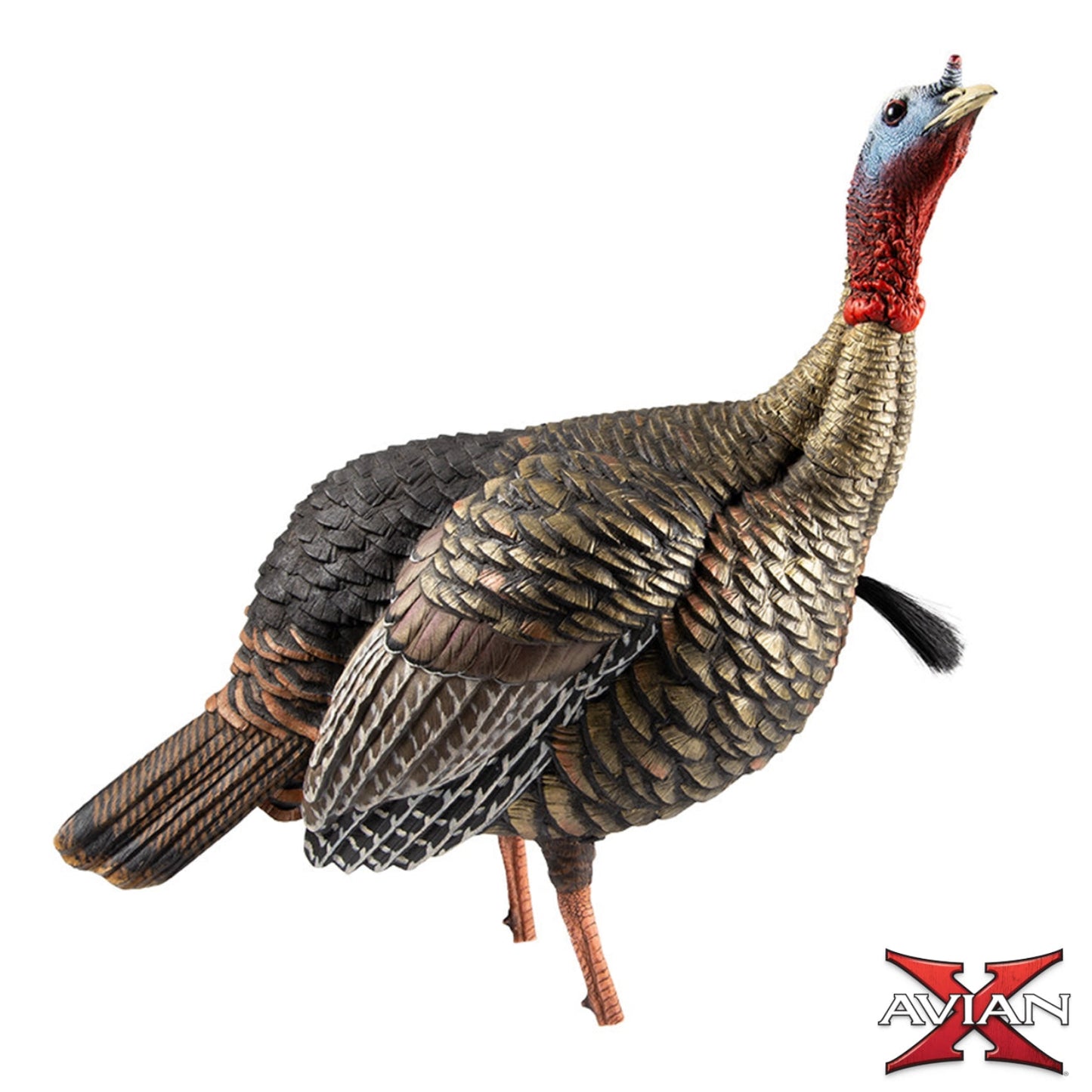 Avian-X HDR Jake turkey decoy side profile view with aggressive stance, realistic hunting decoy 