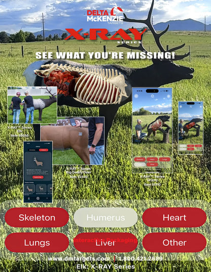 Delta McKenzie QuivAR X-Ray Technology