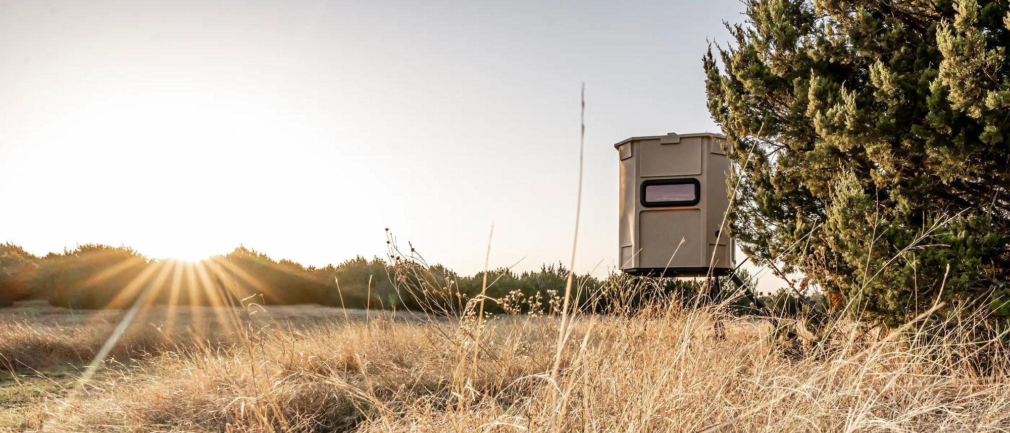 Hunting blind in a field with sunlit trees