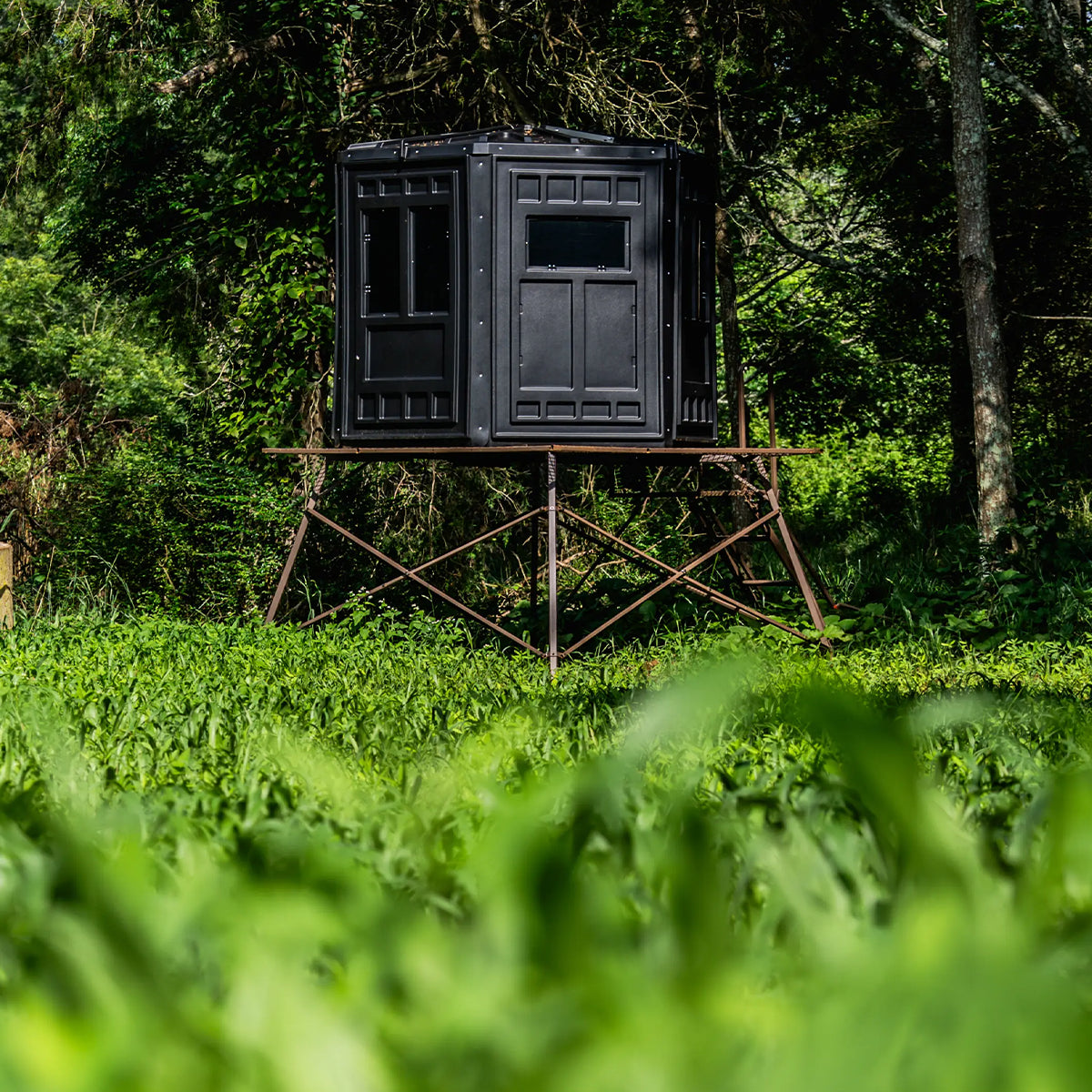 Booner 6-Panel deer hunting blind elevated on a tower overlooking a green food plot, premium elevated blind setup sold by Outdoors For Less