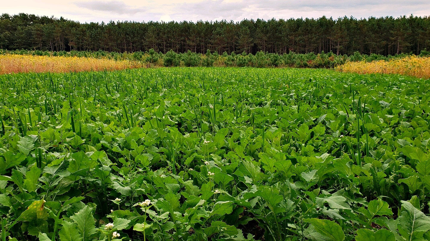 Boss Brew™ Food Plot Seed