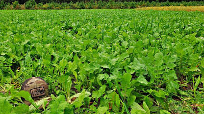 Boss Brew™ Food Plot Seed