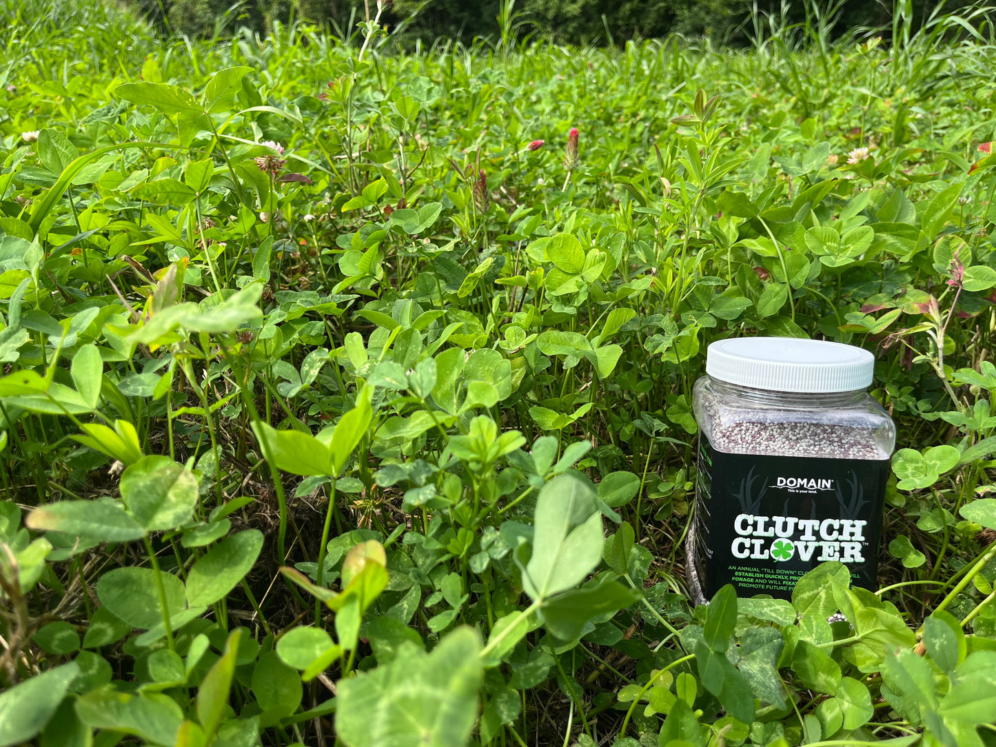 Clutch Clover™ Food Plot Seed