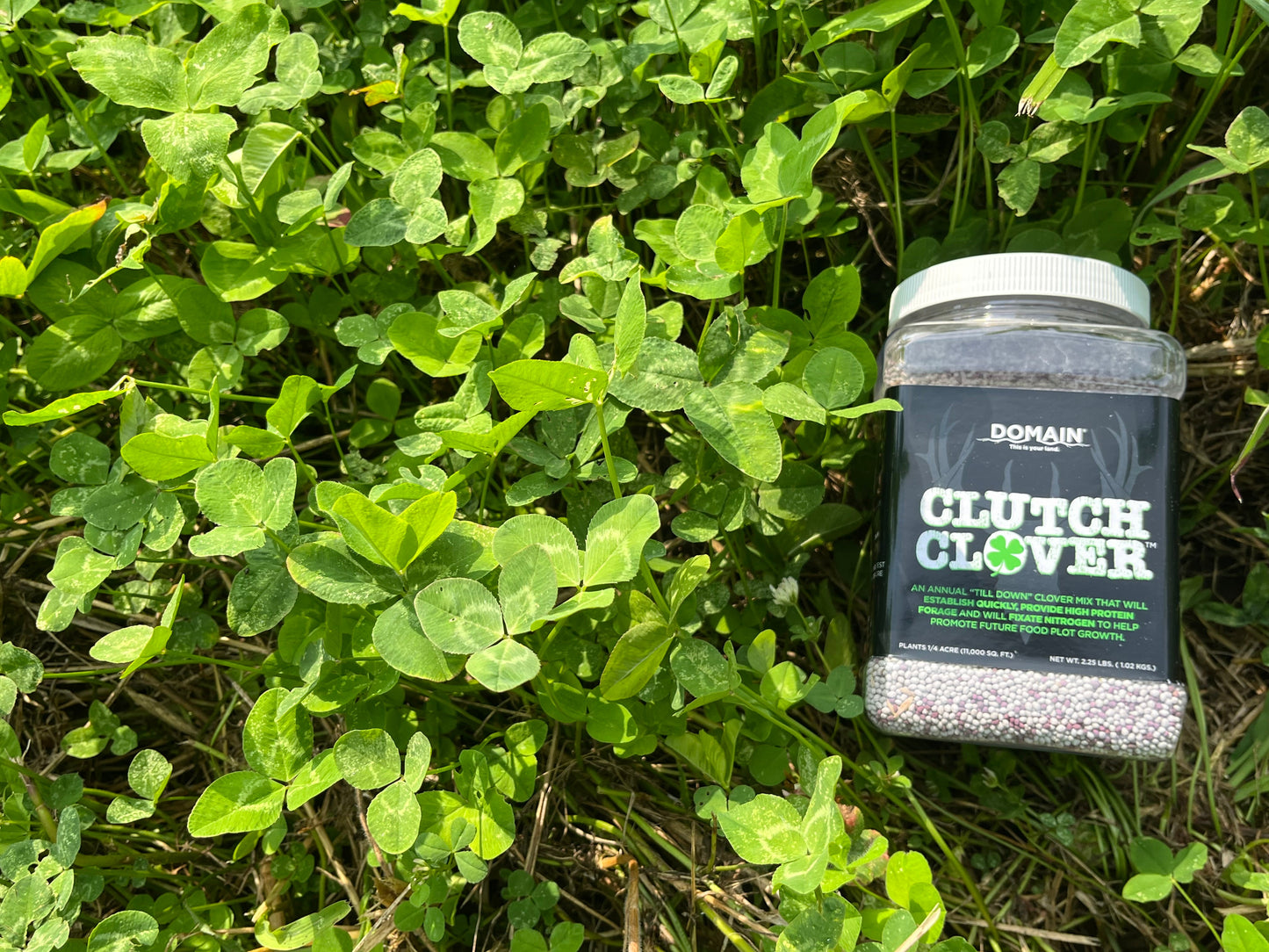 Clutch Clover™ Food Plot Seed