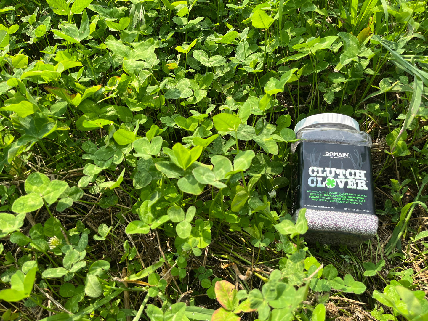 Clutch Clover™ Food Plot Seed