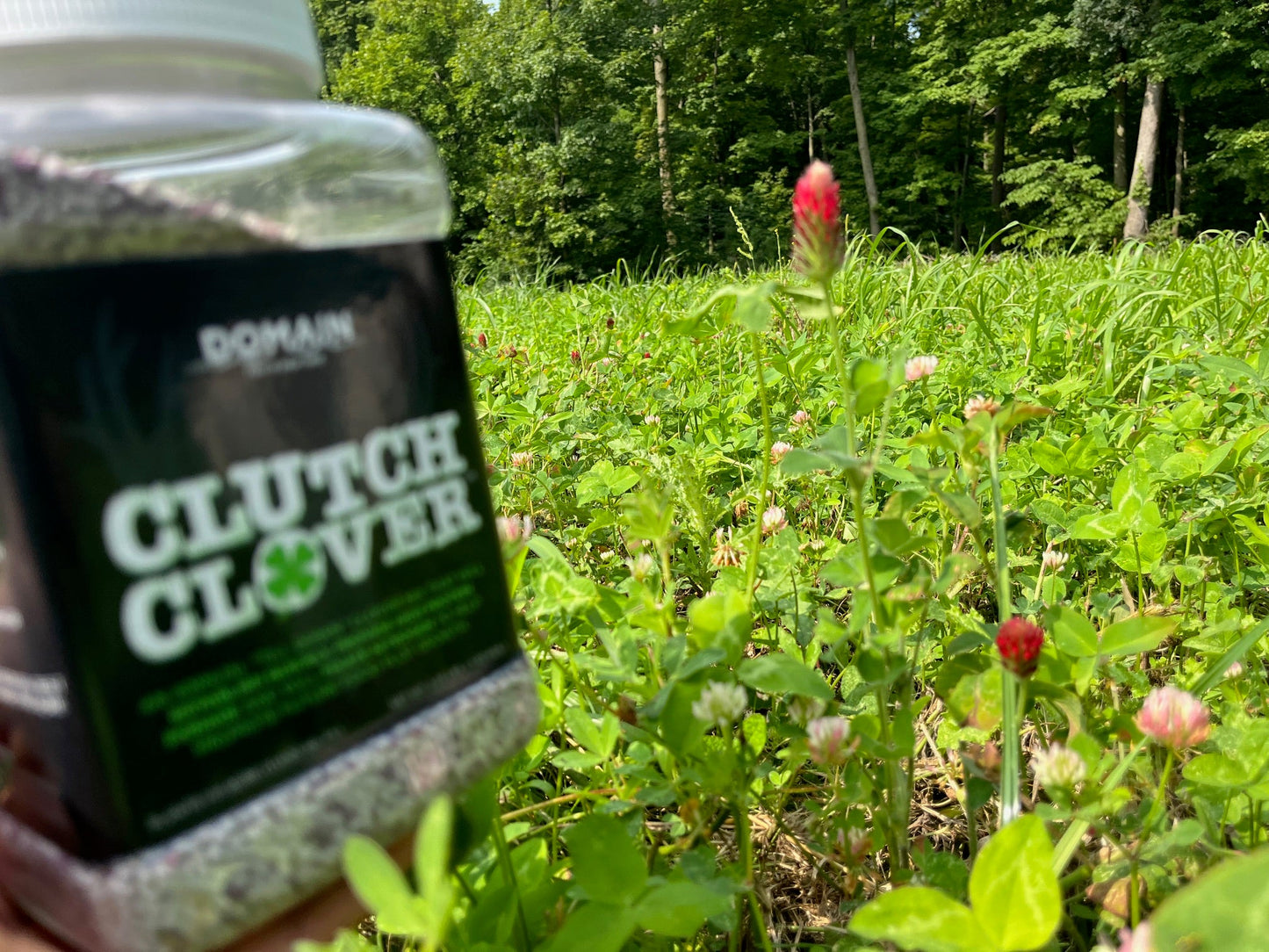 Clutch Clover™ Food Plot Seed