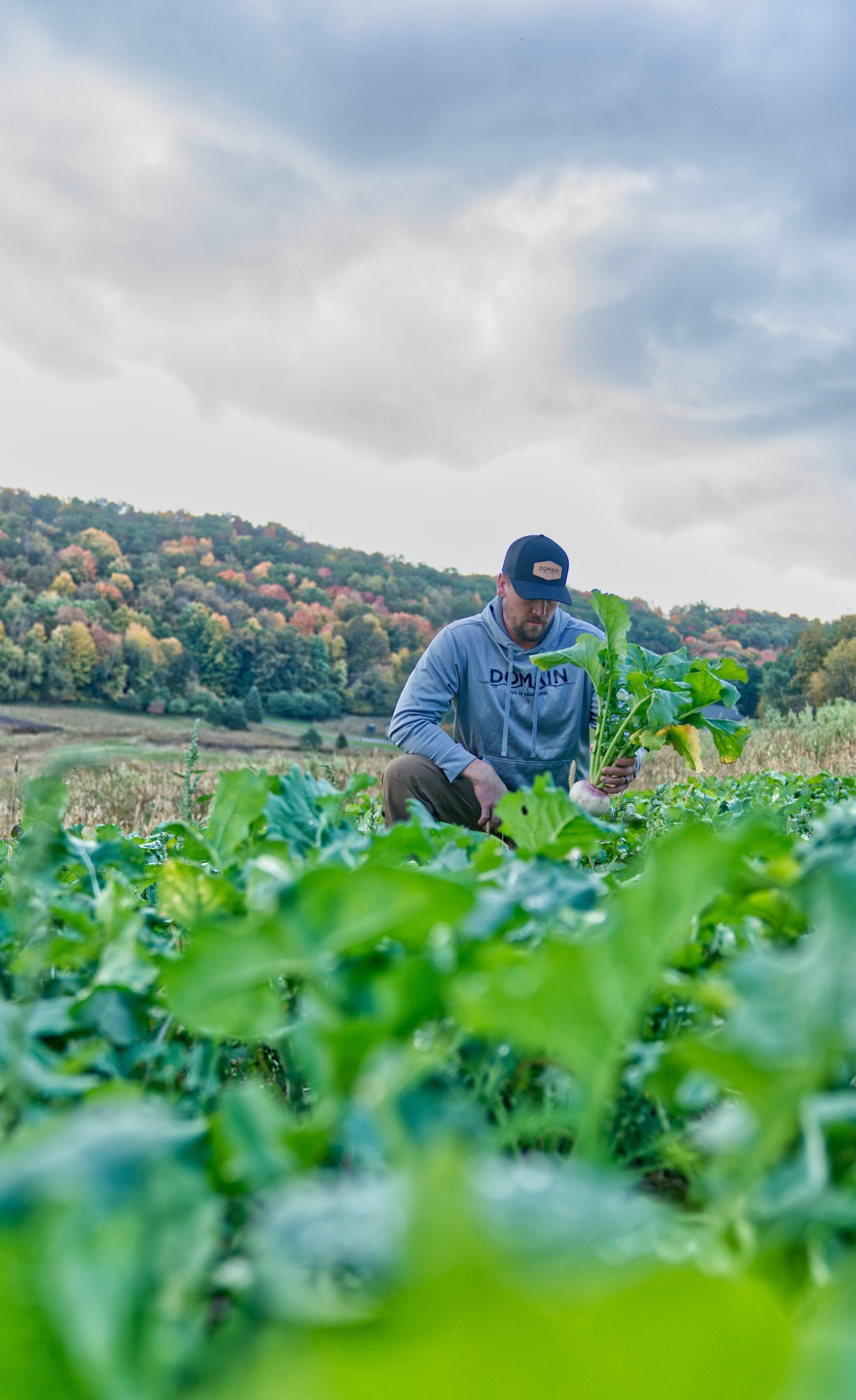 Show Stopper™ Food Plot Seed