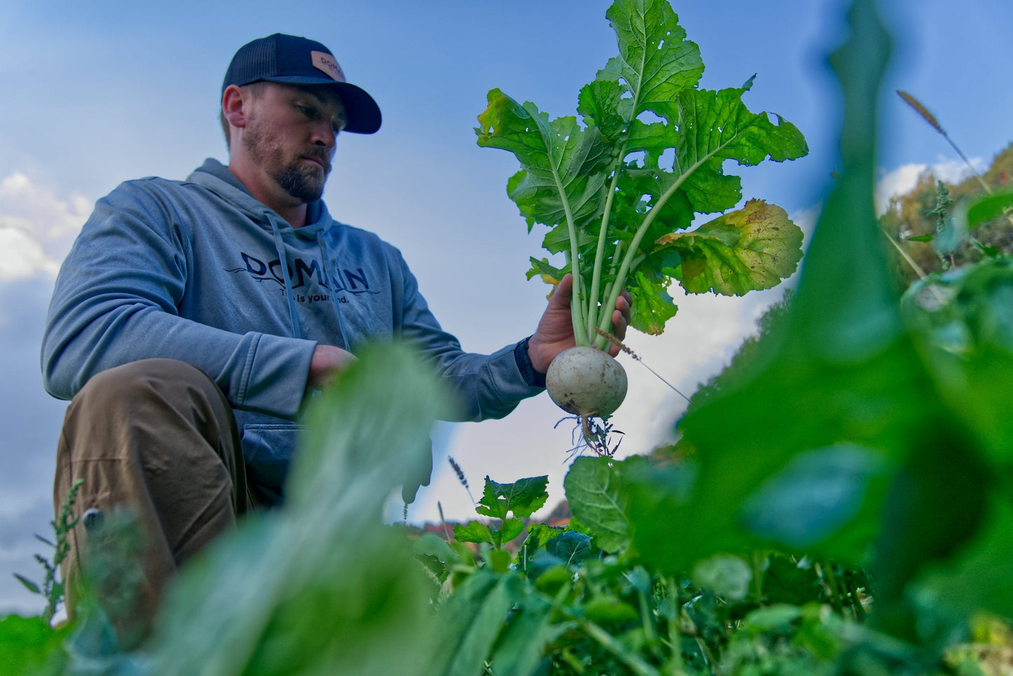 Show Stopper™ Food Plot Seed
