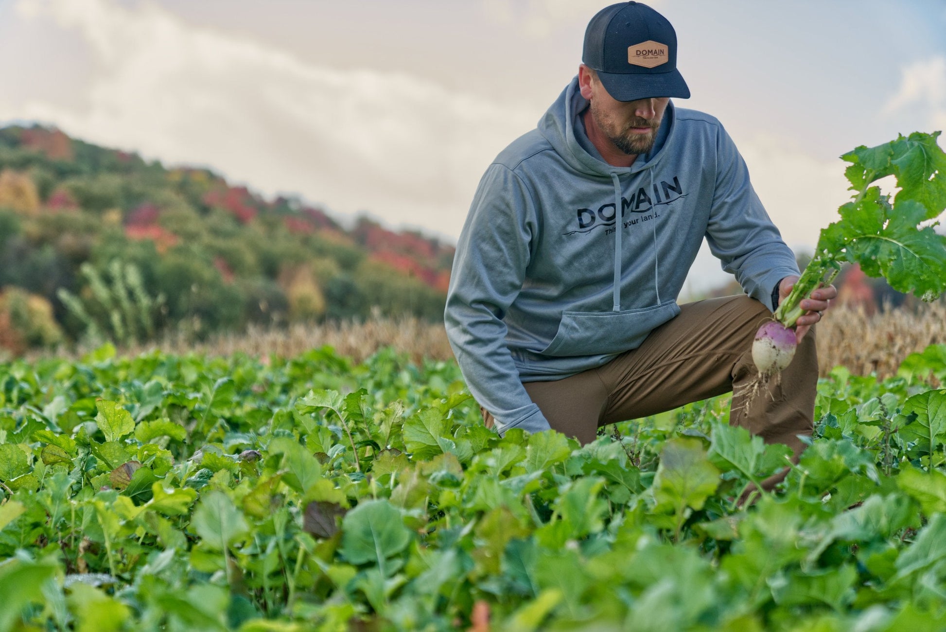 Sugar Momma™ Food Plot Seed