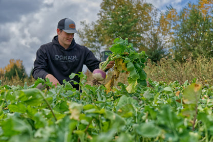 Sugar Momma™ Food Plot Seed