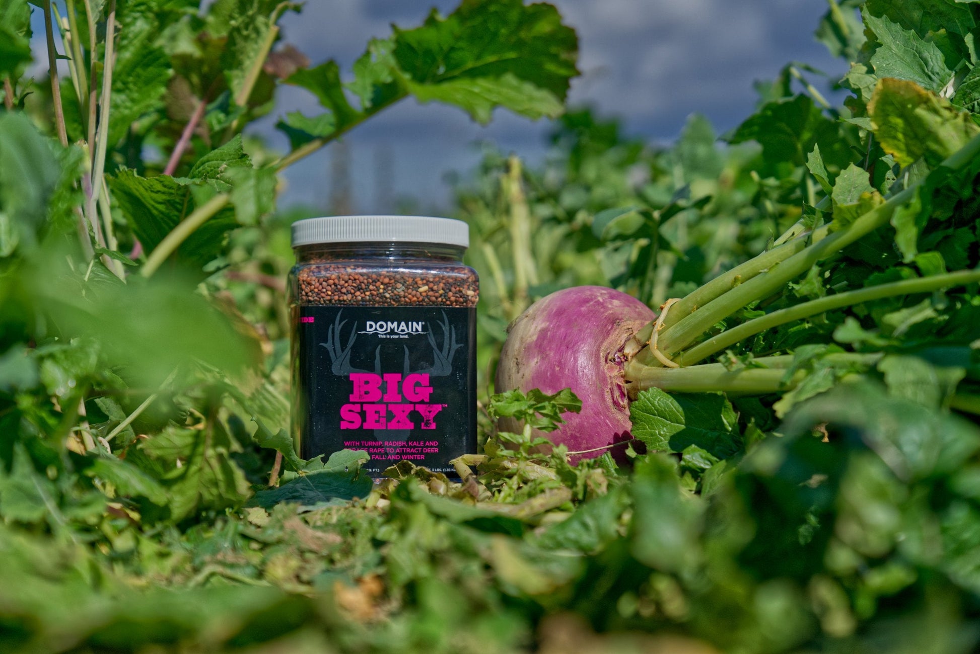 Big Sexy™ Food Plot Seed