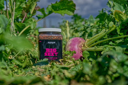 Big Sexy™ Food Plot Seed