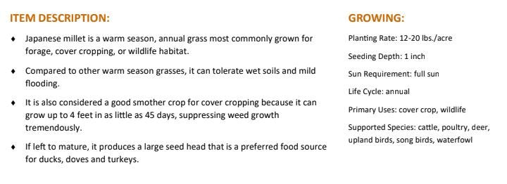 Japanese Millet Food Plot Seed