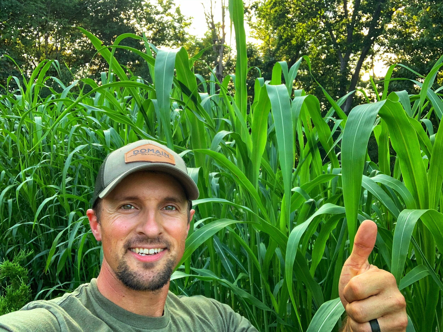 Incognito™ Food Plot Seed