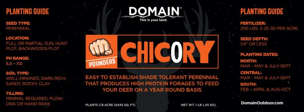 Domain Pounder – Chicory Food Plot Seed