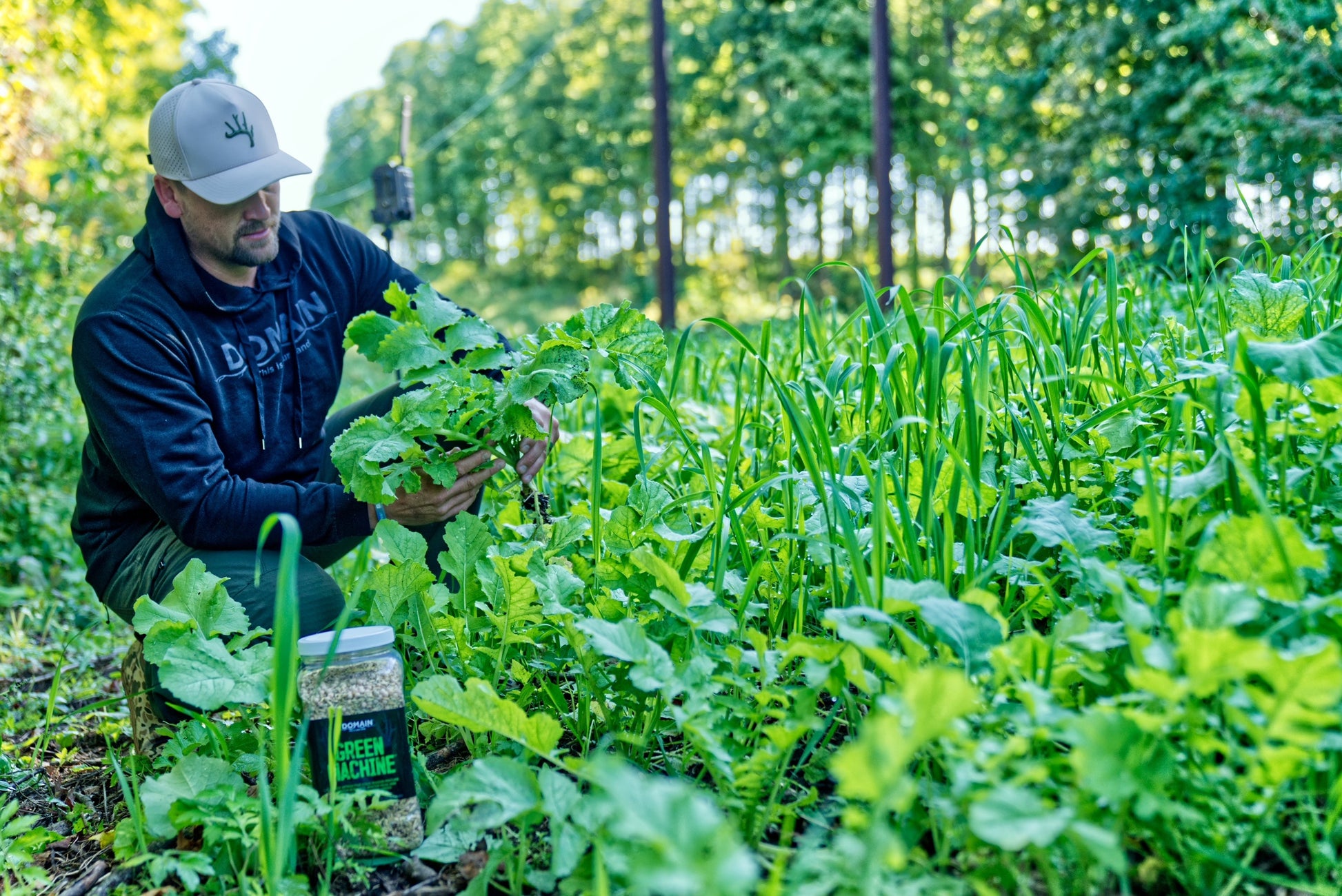 Green Machine™ Food Plot Seed