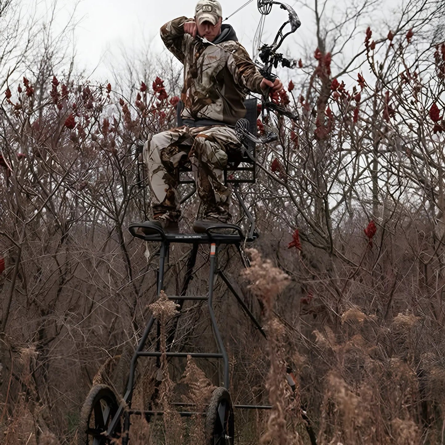 Hawk Transformer Hunt-Pod