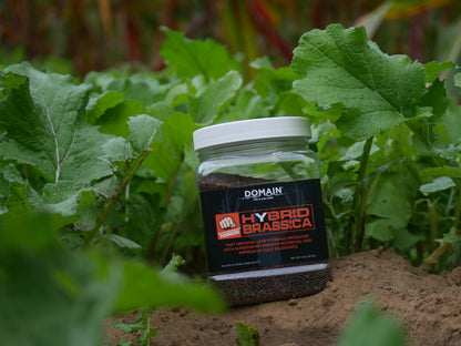 Domain Pounder – Hybrid Brassica Food Plot Seed