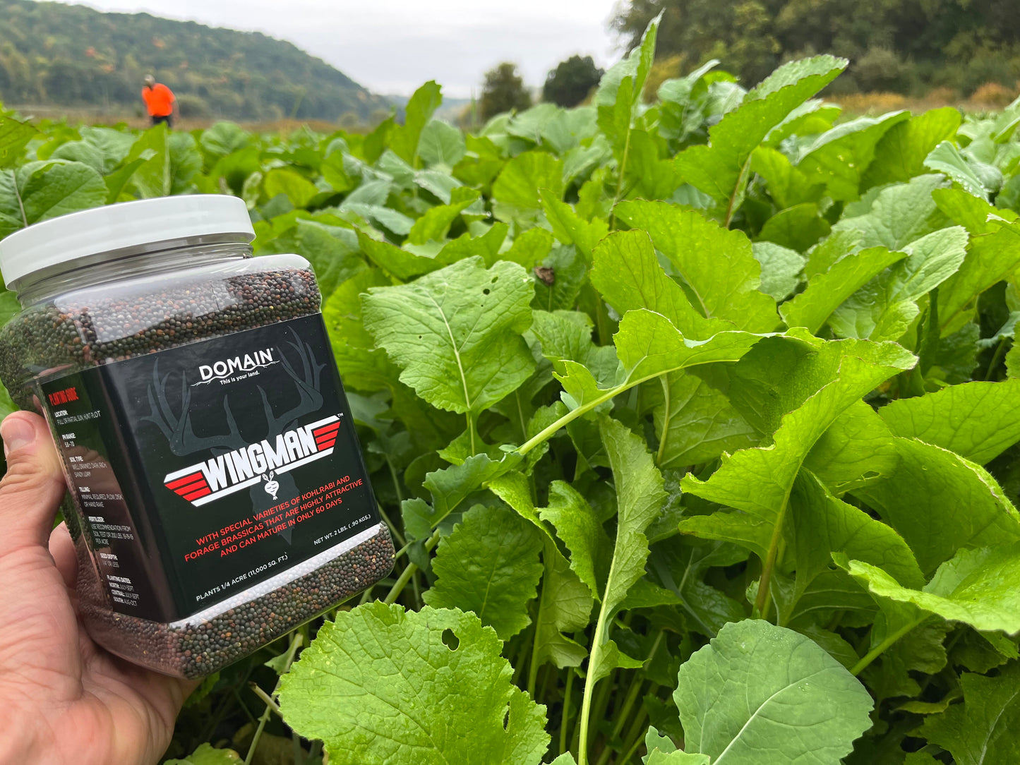 Wingman™ Food Plot Seed