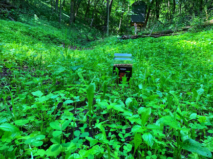 No BS™ Food Plot Seed