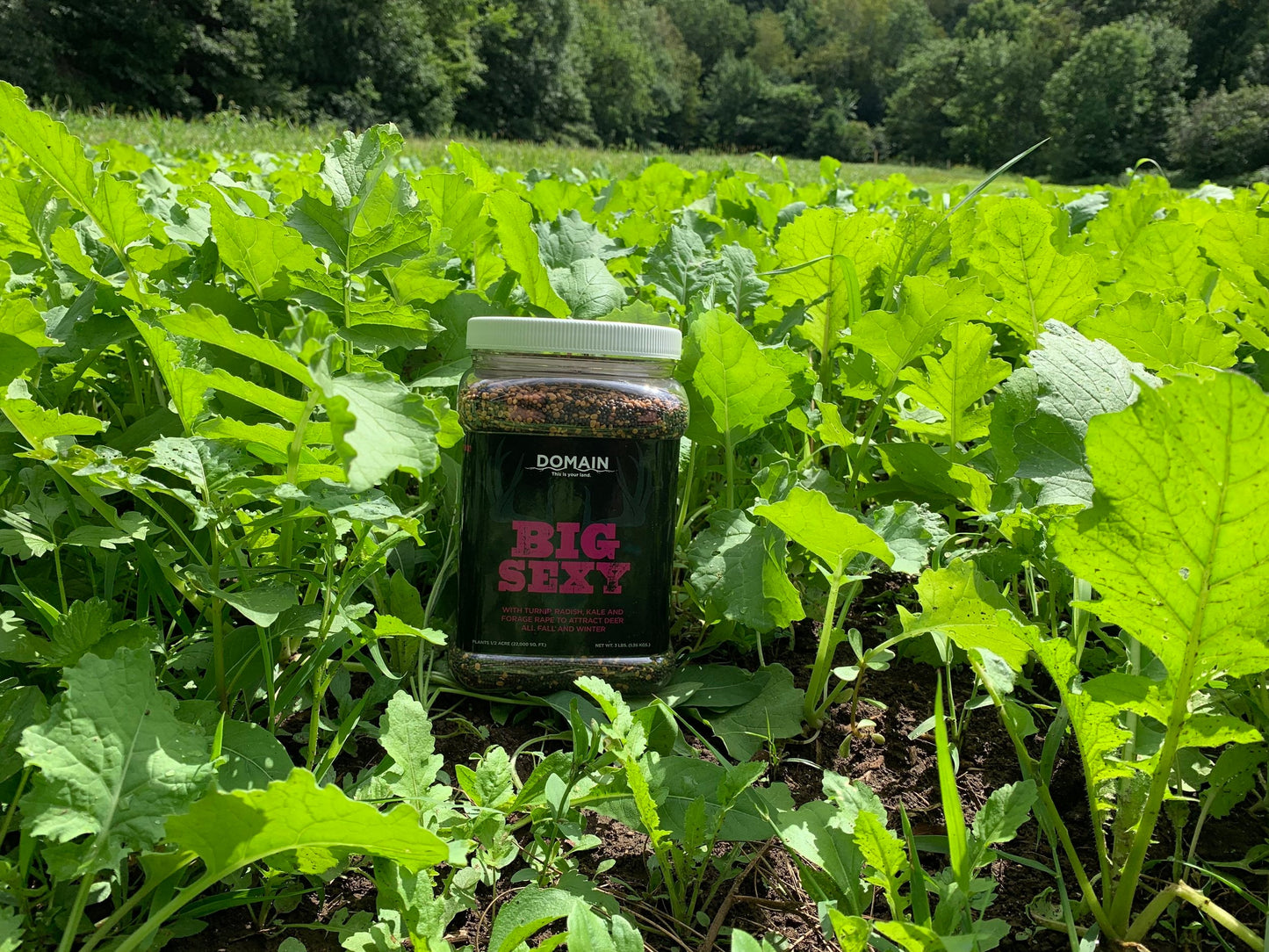 Big Sexy™ Food Plot Seed